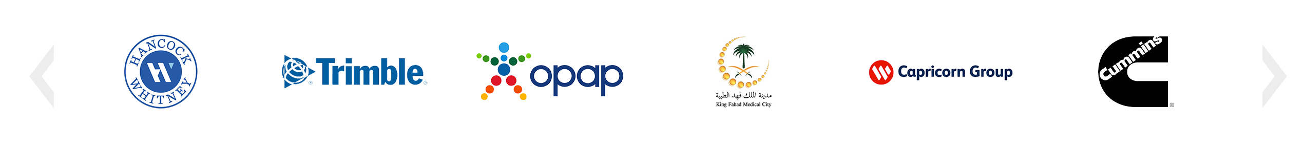 enterprise-risk-management-logos